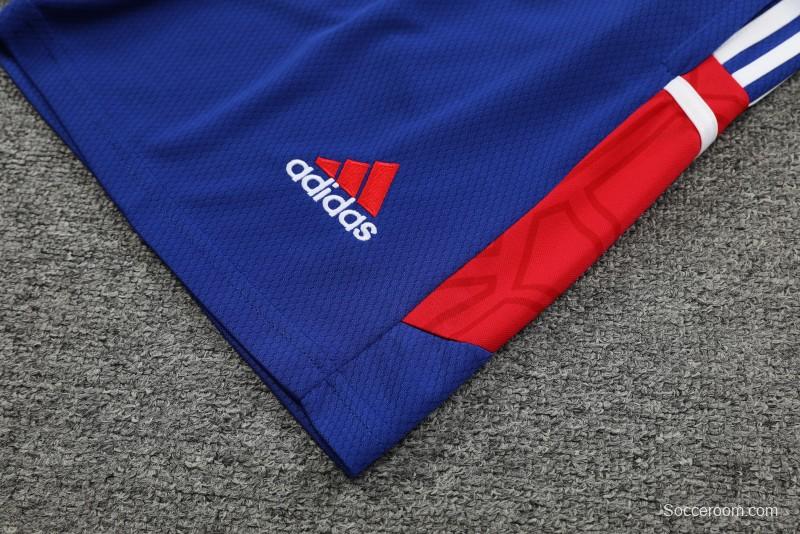 23-24 Bayern Munich Red/Blue Vest Jersey+Shorts